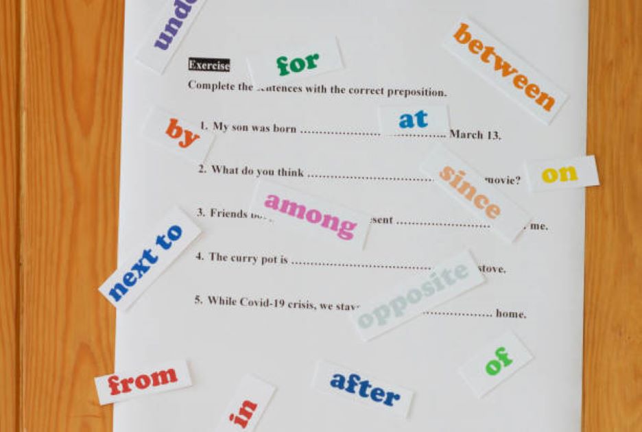 English Past Paper 2022 Morning Sargodha Board Class 11