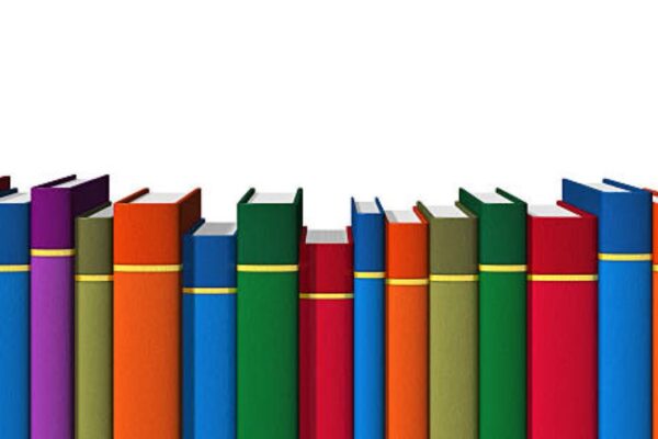 BISE Bahawalpur Class 11 Sociology Past Paper 2024
