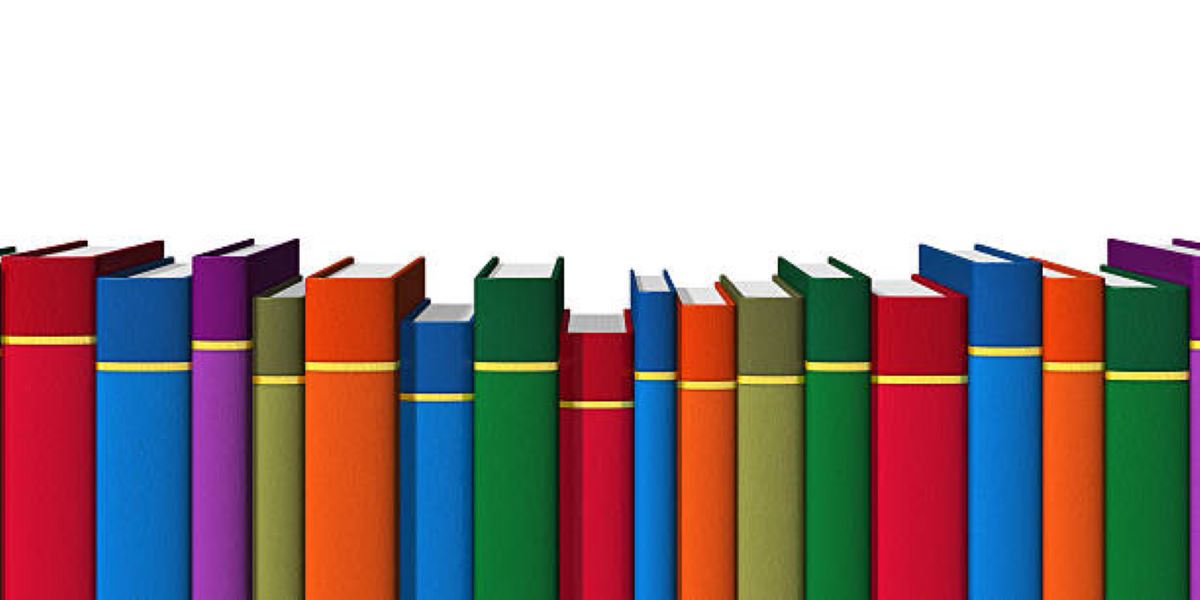 BISE Bahawalpur Class 11 Sociology Past Paper 2024