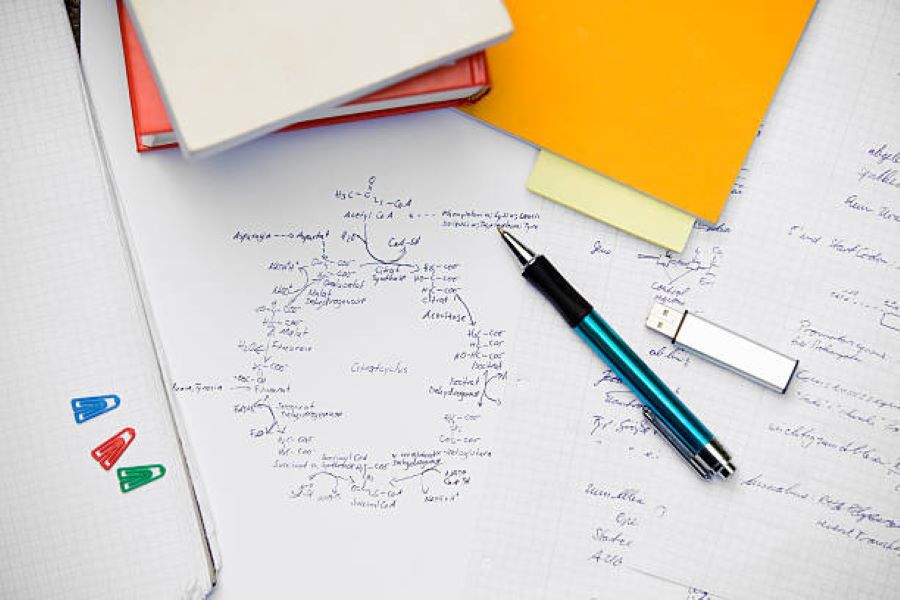 BISE Bahawalpur 2024 Class 11 Biology Past Paper