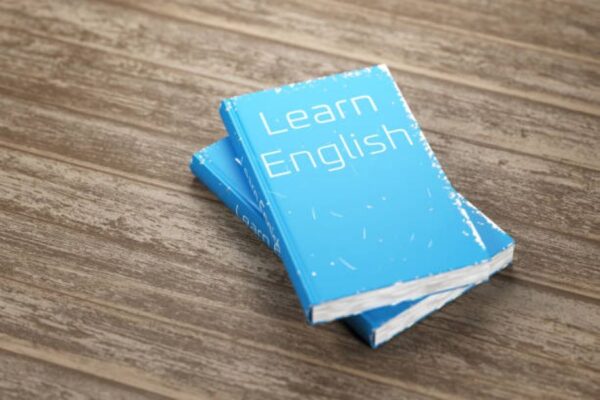 Faisalabad Board Class 10 English Past Paper 2024 Morning Session