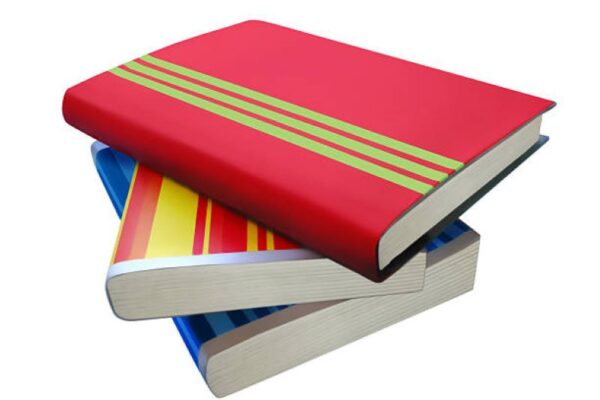 BISE Sargodha Class 11 Punjabi Past Paper 2019