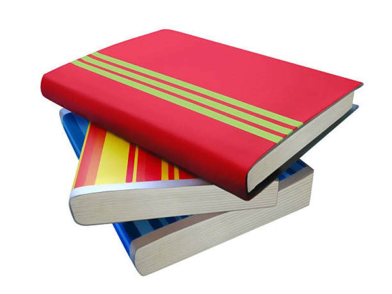 BISE Sargodha Class 11 Punjabi Past Paper 2019
