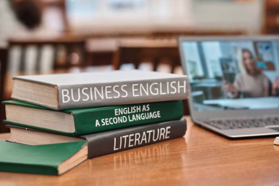 BISE Bahawalpur Class 11 English Past Paper 2023 Morning