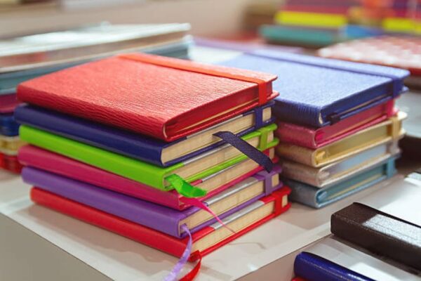 BISE Bahawalpur Class 11 English Past Paper 2024 Evening
