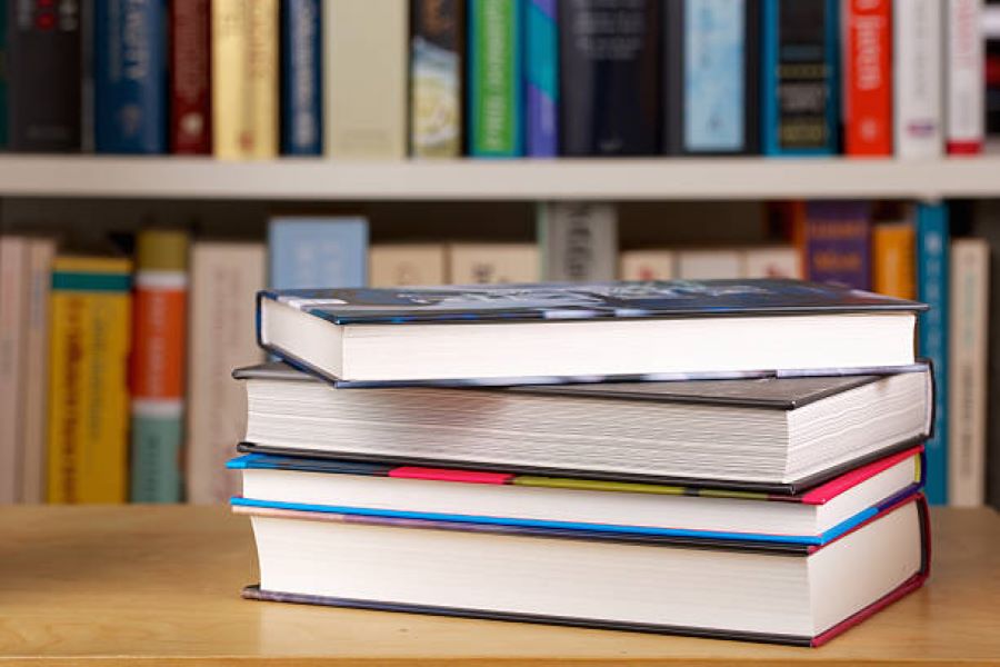 Sociology Past Papers 2019 – BISE Sargodha Class 11