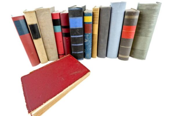 Sociology Past Papers 2023 BISE Sargodha Class 11