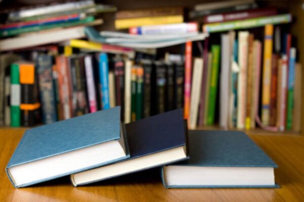 Sociology Past Papers 2024 BISE Sargodha Class 11