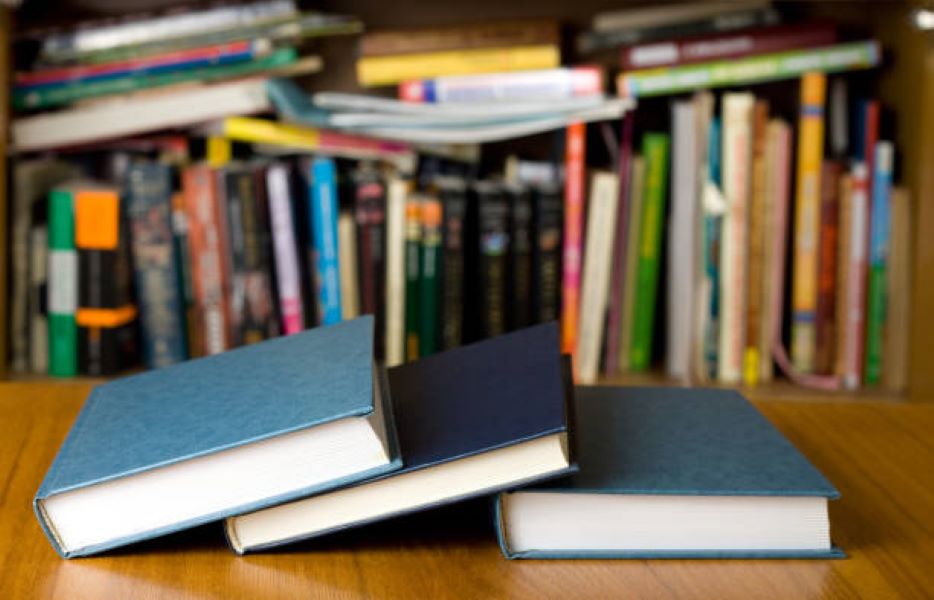 Sociology Past Papers 2024 BISE Sargodha Class 11
