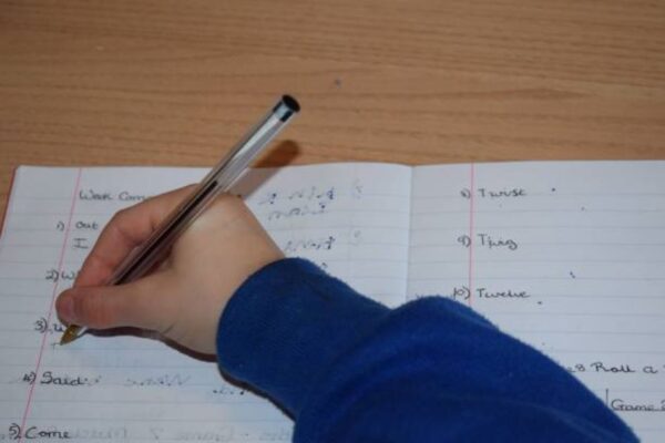 English Past Paper 2019 Morning Sargodha Board Class 11