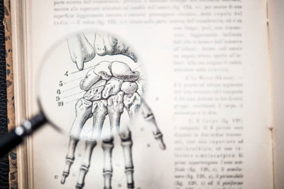BISE Sargodha 2022 Biology Past Paper for Class 11
