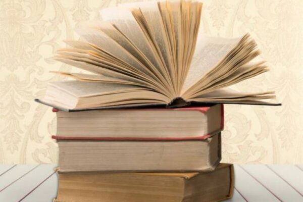 BISE Gujranwala Punjabi Past Papers 2019 for Class 11 Class 11 Punjabi Past Paper Gujranwala Board 2019