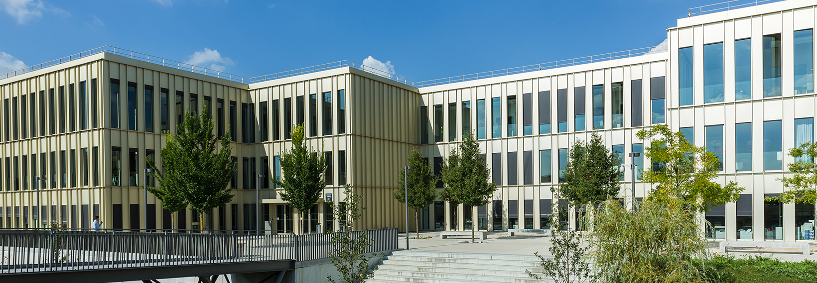 HEC Revised Curriculum 2025-26 for Business Programs