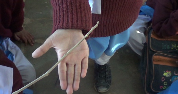 Punjab Warns Teachers Against Physical Punishment in Schools