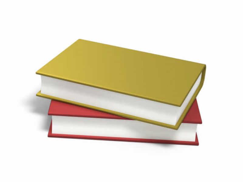 BISE Dera Ghazi Khan Class 10 Urdu Past Paper 2024 Morning Session