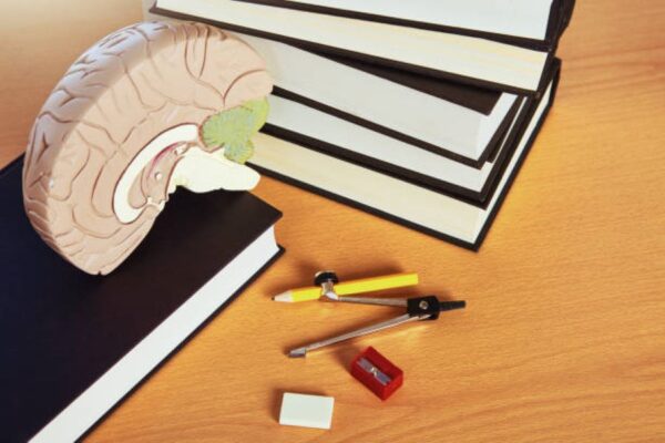 Class 10 Biology 2022 Morning Past Paper BISE Dera Ghazi Khan