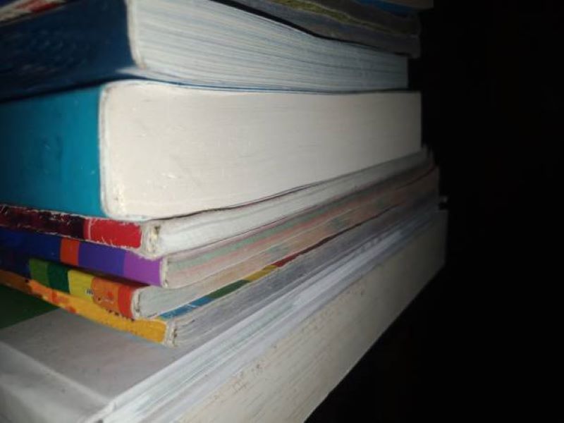 BISE Dera Ghazi Khan Class 10 Urdu Past Paper 2024 Evening Session