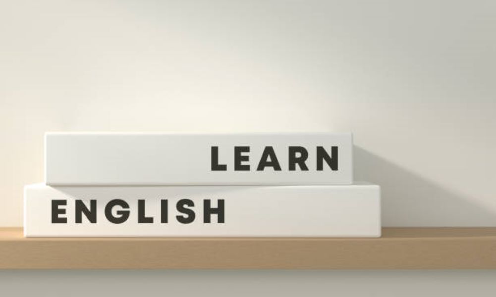 BISE Dera Ghazi Khan 2024 English Past Paper Morning Session Class 10