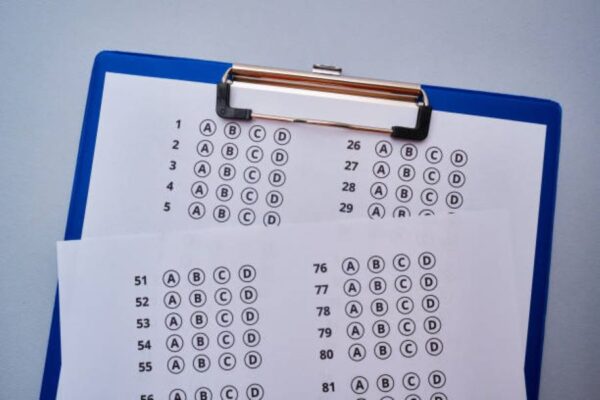 Class 10 Punjabi Past Paper 2024 Morning BISE Lahore