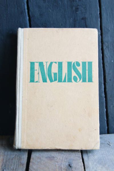 BISE Multan Class 10 English Past Paper 2024 Evening Session