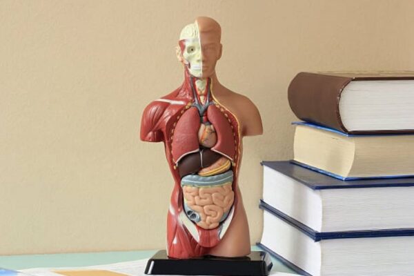 Class 10 Biology 2018 Evening Past Paper BISE Dera Ghazi Khan