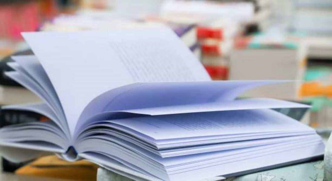 BISE Dera Ghazi Khan 2024 Pakistan Studies Class 10 Morning Past Paper
