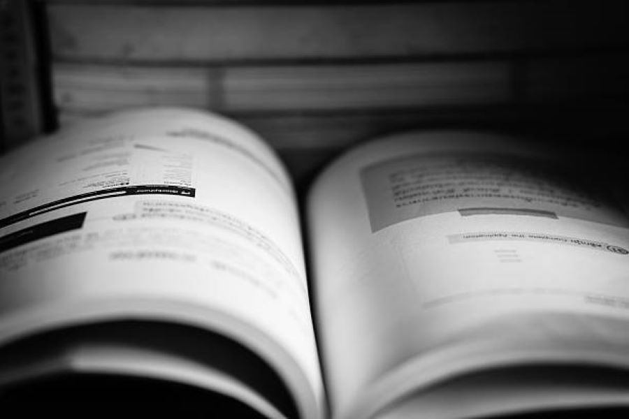 BISE Dera Ghazi Khan 2018 Pakistan Studies Class 10 Evening Past Paper