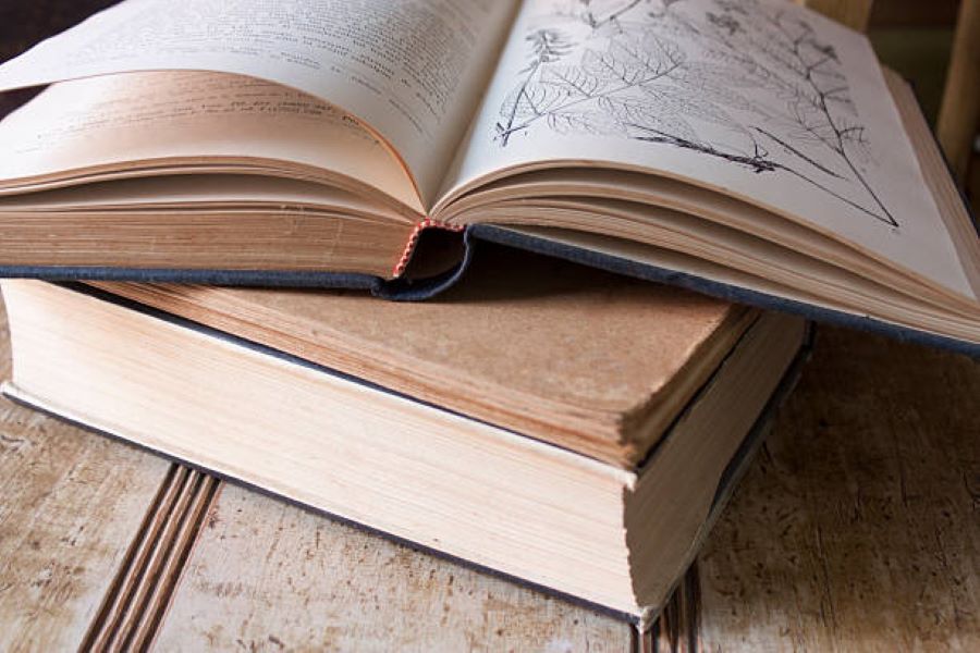 BISE Multan Class 10 Biology Past Paper 2018 Evening