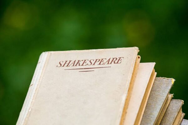 BISE Dera Ghazi Khan 2019 English Past Paper Morning Session Class 10