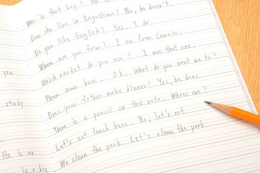 BISE Dera Ghazi Khan 2019 English Past Paper Evening Session Class 10