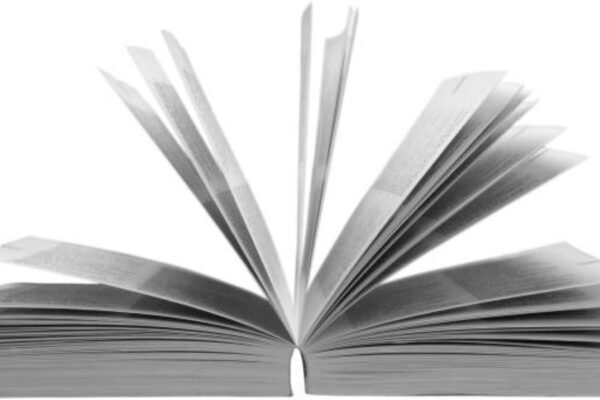 2019 Pakistan Studies 10th Class Evening Past Paper – Dera Ghazi Khan BISE Dera Ghazi Khan 2019 Pakistan Studies Class 10 Evening Past Paper