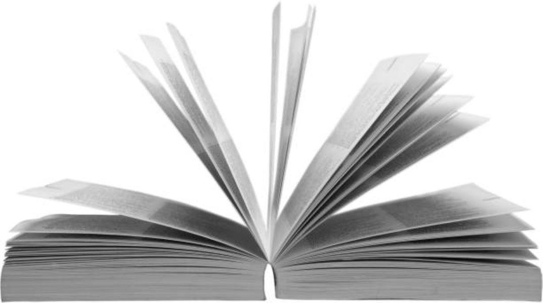 BISE Dera Ghazi Khan 2019 Pakistan Studies Class 10 Evening Past Paper