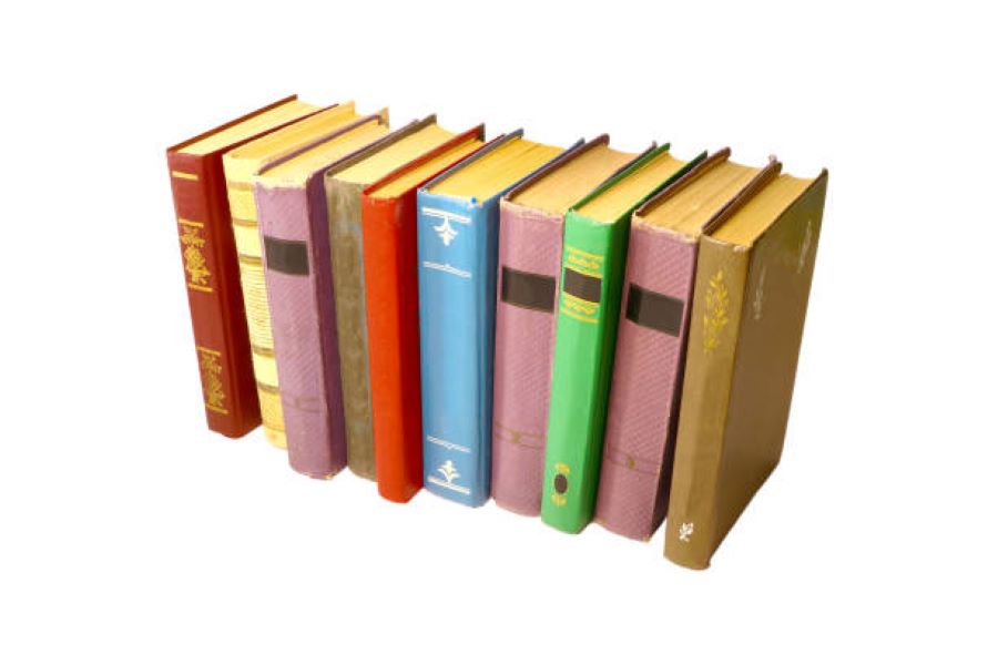 BISE Dera Ghazi Khan Class 10 Urdu Past Paper 2020 Evening Session