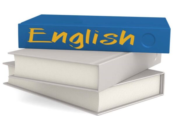 English Past Paper 2020 Morning Class 10 BISE Sargodha