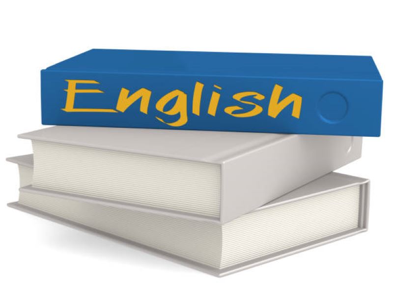 English Past Paper 2020 Morning Class 10 BISE Sargodha