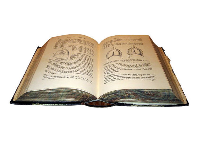 Home Economics Past Papers BISE Rawalpindi Class 10 (2024)