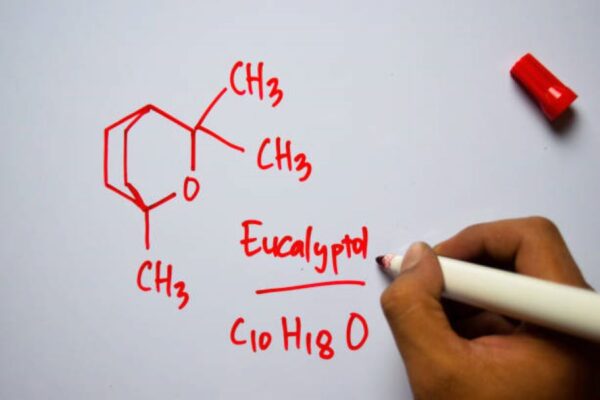 BISE Rawalpindi Class 10 Chemistry Past Paper 2020 Evening