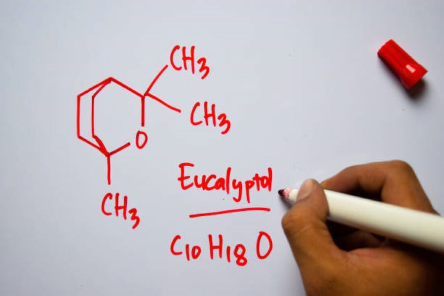 BISE Rawalpindi Class 10 Chemistry Past Paper 2020 Evening