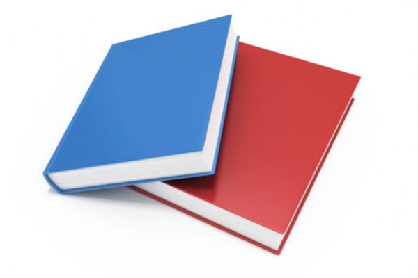 Civics Past Papers 2021 Class 10 BISE Multan