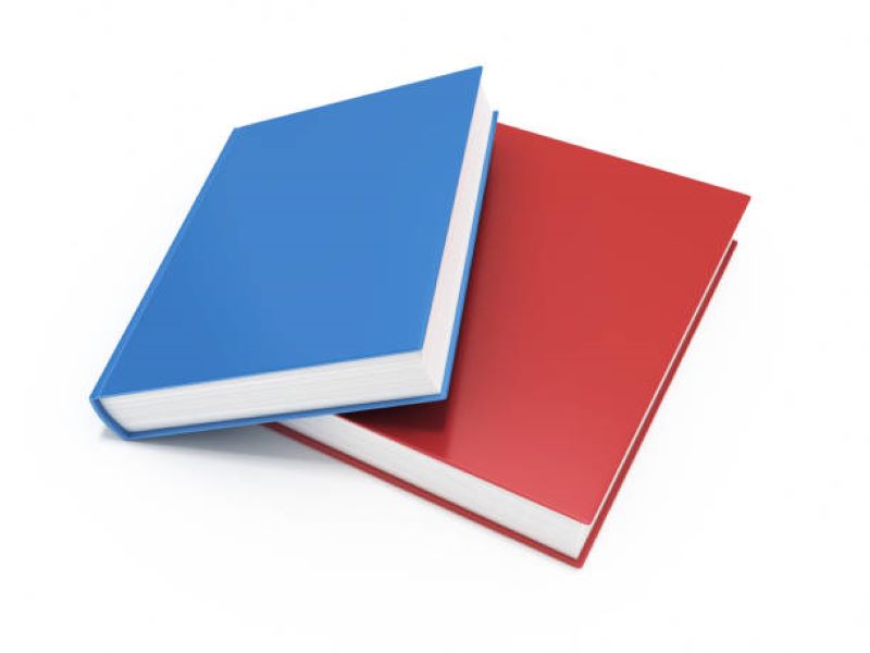 Civics Past Papers 2021 Class 10 BISE Multan