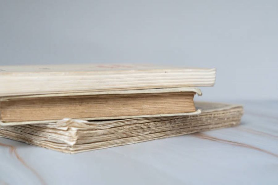 General Science Past Paper 2024 Morning BISE Multan Class 10