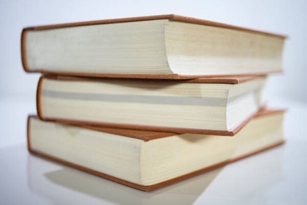 Punjabi Past Paper 2020 BISE Gujranwala Class 10