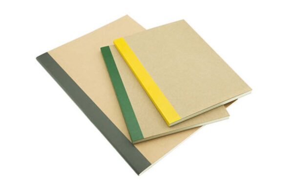 Punjabi Past Paper 2022 BISE Gujranwala Class 10