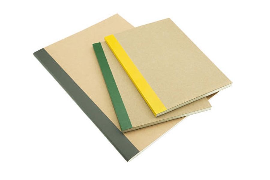 Punjabi Past Paper 2022 BISE Gujranwala Class 10