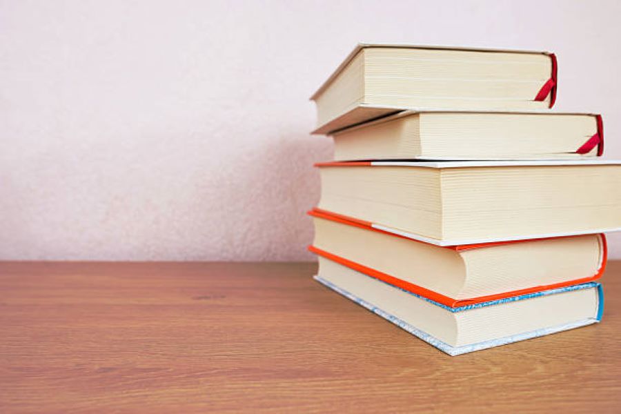 Punjabi Past Paper 2024 BISE Gujranwala Class 10