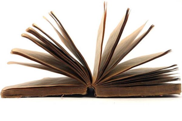 General Science Past Paper 2019 Morning BISE Multan Class 10