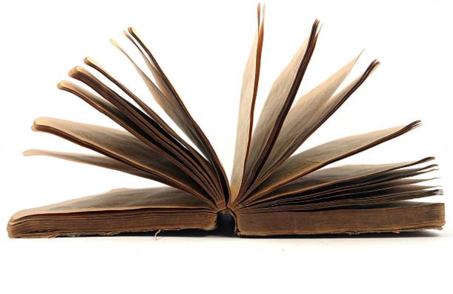 General Science Past Paper 2019 Morning BISE Multan Class 10