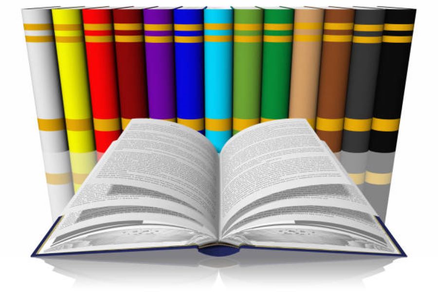 Civics Class 10 Past Paper BISE Rawalpindi 2024