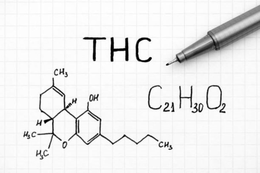 BISE Rawalpindi Class 10 Chemistry Past Paper 2019 Evening