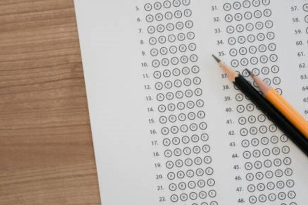 Punjabi Class 10 Past Paper 2019 BISE Sargodha